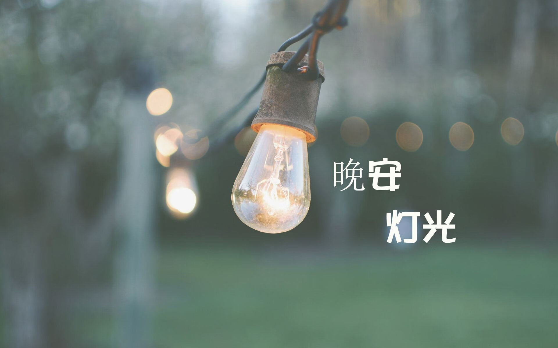 森林狼设立“球员自评系统”，辅助成长反馈，森林狼球员名单最新