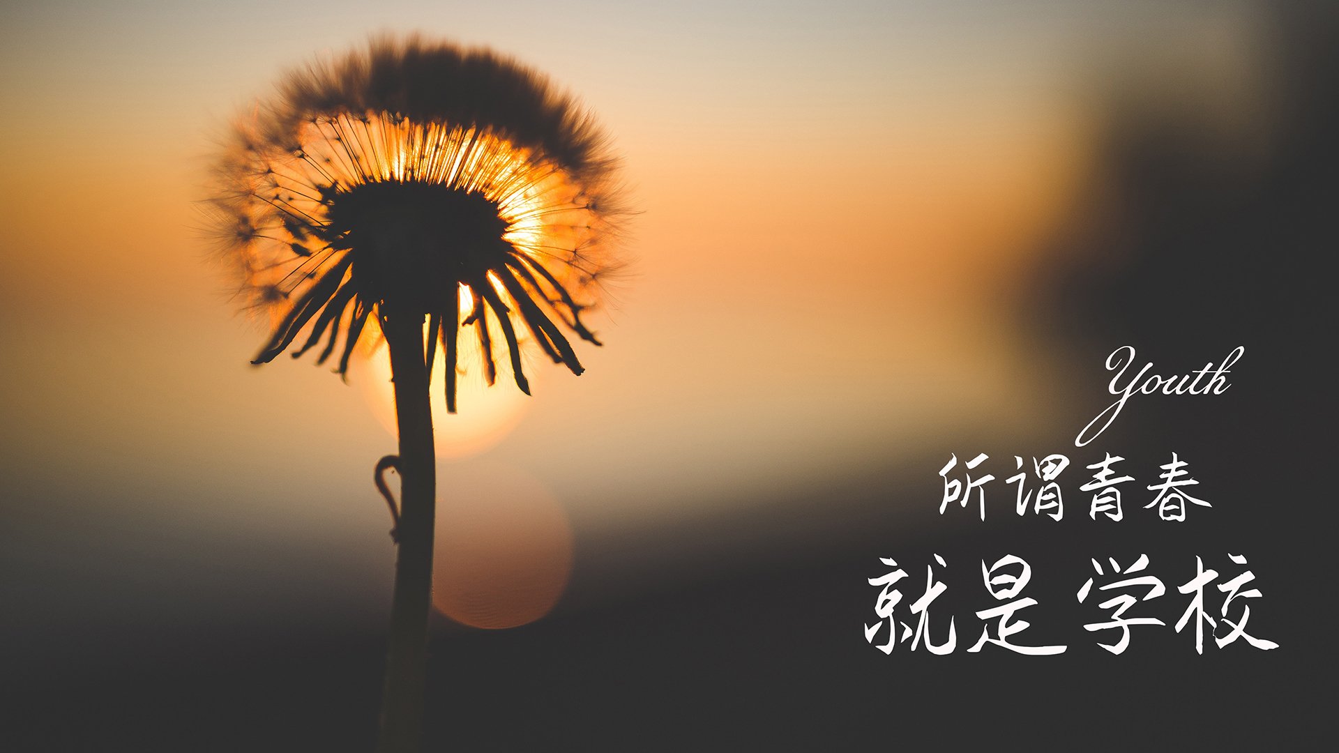 开云网页版-西甲精彩复盘，专家分析球队阵型变化与进攻路线，西甲 球队
