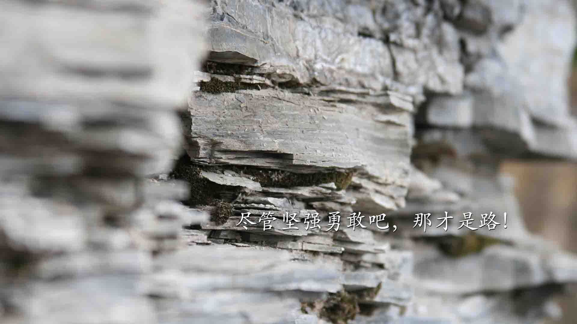 奥格斯堡队员展现出坚韧不拔的精神，以优异表现获得胜利，奥格斯堡战役