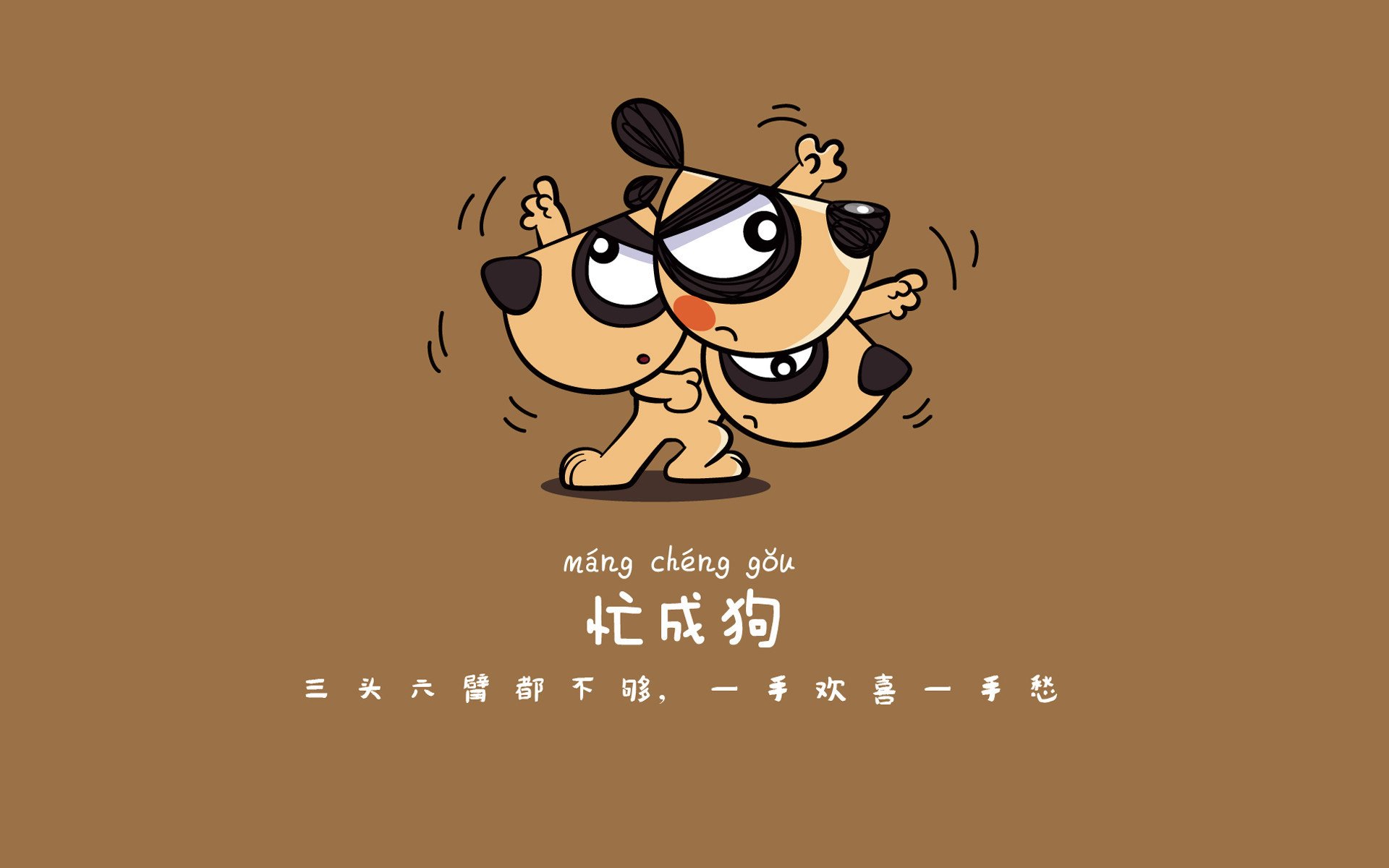 帕尔梅拉斯主帅谈球队表现，帕尔梅拉斯赛事