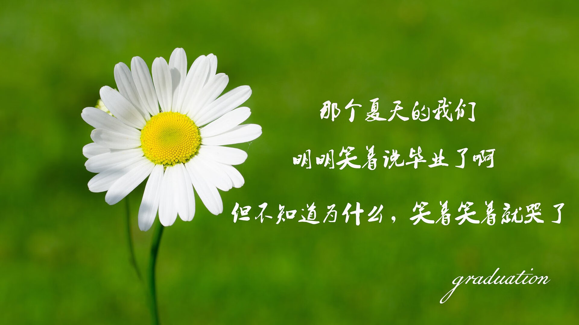 电竞电竞赛事转播技术创新及高清直播体验优化分析，电竞转播技术招聘