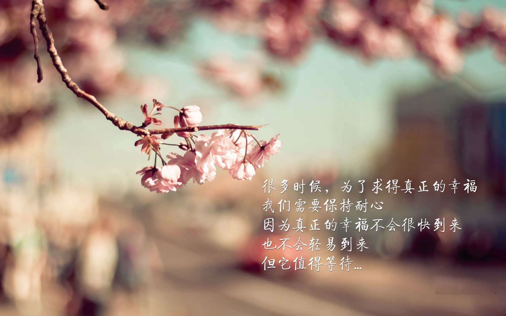 选手心理健康支持计划启动，心理健康设计大赛