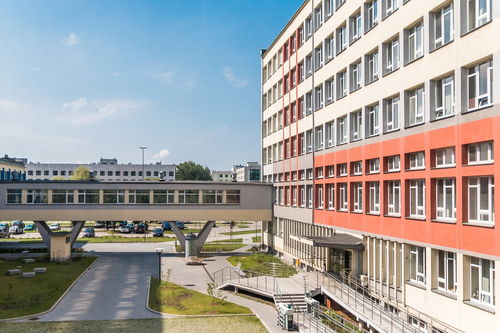 开云入口-中国青少年篮球课程体系现代化建设，《中国青少年篮球训练教学大纲(2013版)》