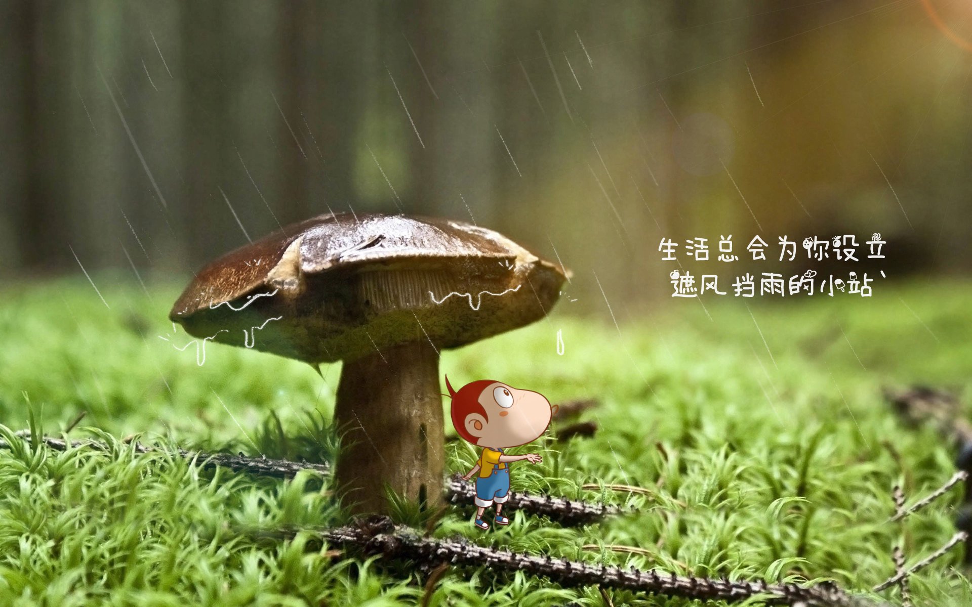 控球节奏精准的球队名单分析，控球节奏如何提高