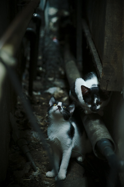 乒超联赛新赛季即将开打,乒超联赛最新