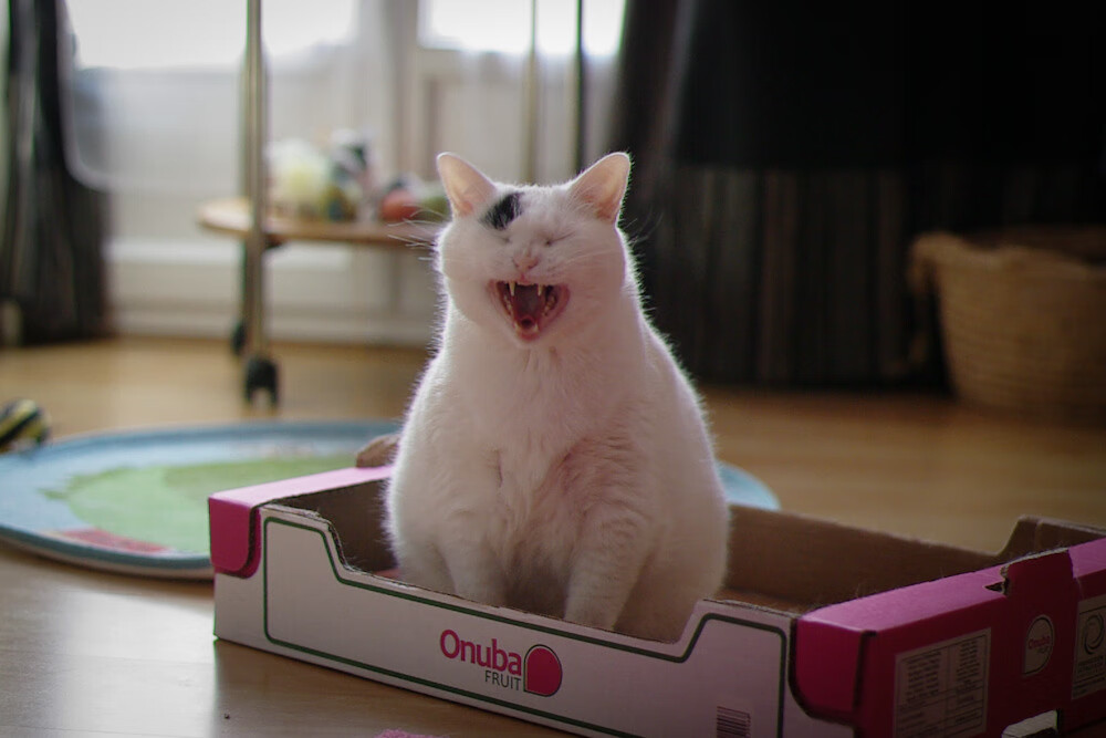 塔图姆三分线外多次拉开空间，塔图姆今天投三分