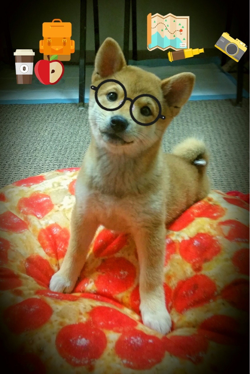 kaiyun中国官方网站-欧洲杯战术调整：变化多端，令人期待！，欧洲杯各个球队技战术打法