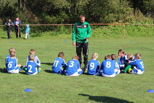 开云·体育官网APP下载-美洲杯争夺队：攻守兼备，战术百变，美洲杯的比赛