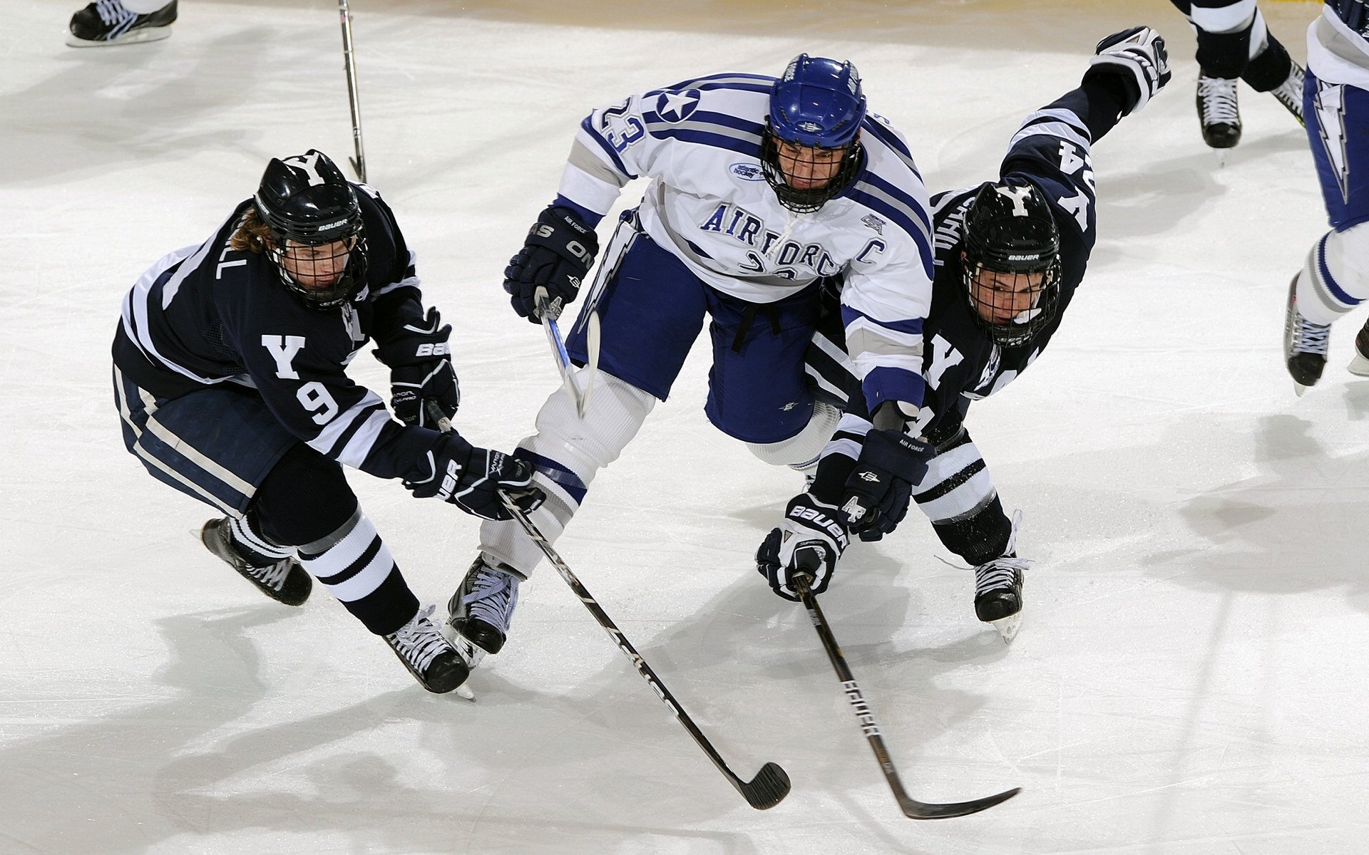 “雪地皇者：冰天雪地中的霸者归来”，雪地黄金